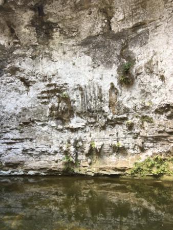 Cenote Zaci